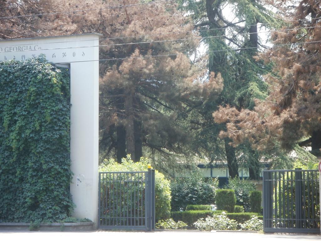 Guest House Nochleg Τυφλίδα Εξωτερικό φωτογραφία